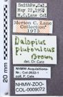 Etikett zu Idolus columbiana (Brown, 1933)